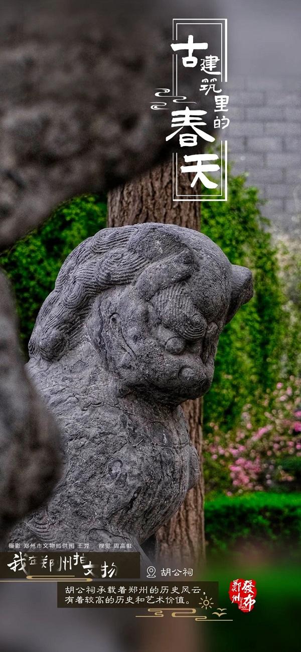 河南郑州：古建筑里看春色 方是春景“天花板”
