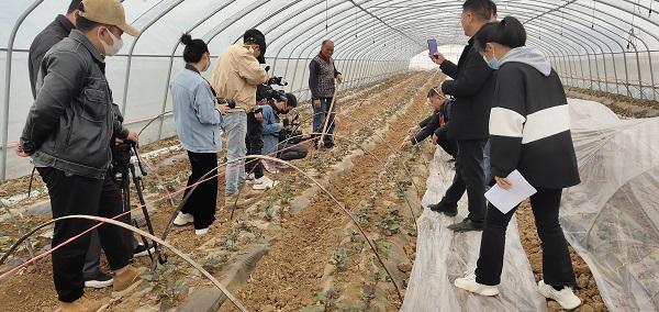 伊川县鸦岭镇：百位农场主5000亩“岭上农场”种红薯