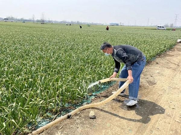 山东兰陵磨山镇：引水灌田保丰收 第一书记解民忧