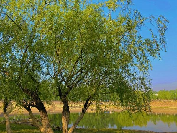 醉美兰陵 风景如画