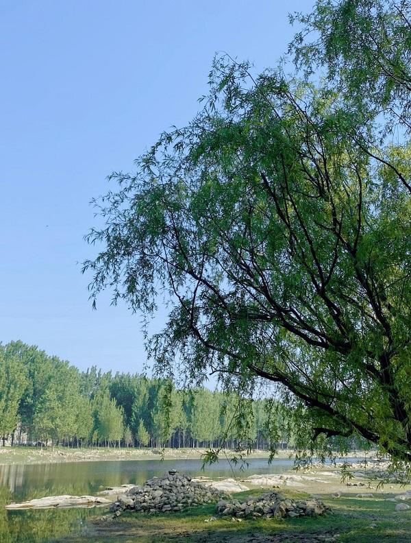 醉美兰陵 风景如画