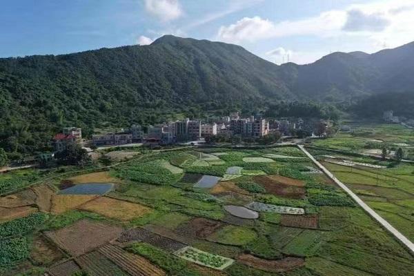 山海惠东传幸福，乡村振兴展魅力——《我要去惠东》品牌宣传活动第四季启幕