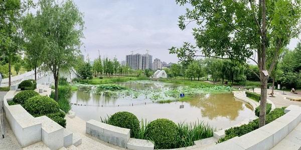 漯河市扬尘办举行“世界环境日”宣传活动