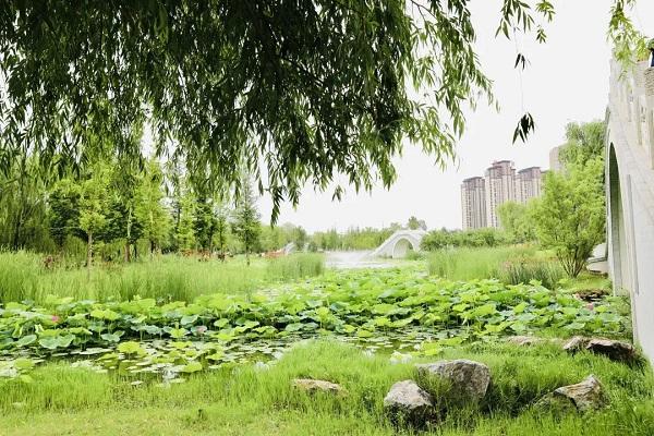 漯河市扬尘办举行“世界环境日”宣传活动