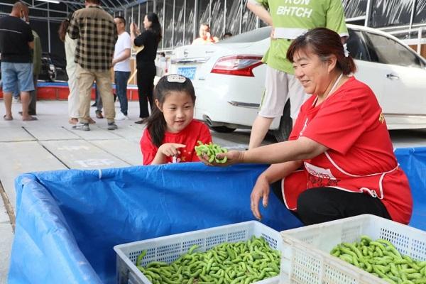江苏灌云：小豆丹 大文章 党建引领 富民兴村