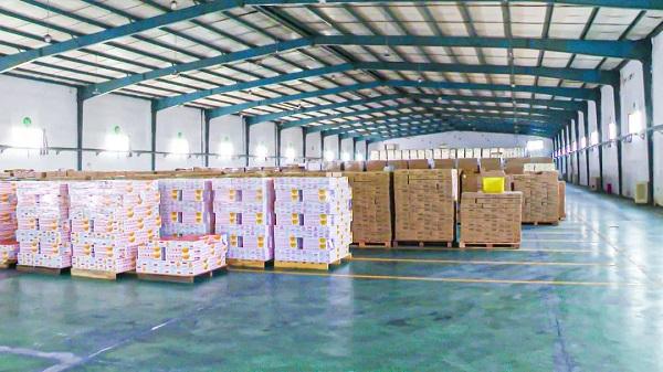 宜都：柑橘产业链条纵延伸 “吃干榨尽”出精品