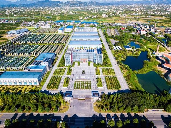 宜都：柑橘产业链条纵延伸 “吃干榨尽”出精品