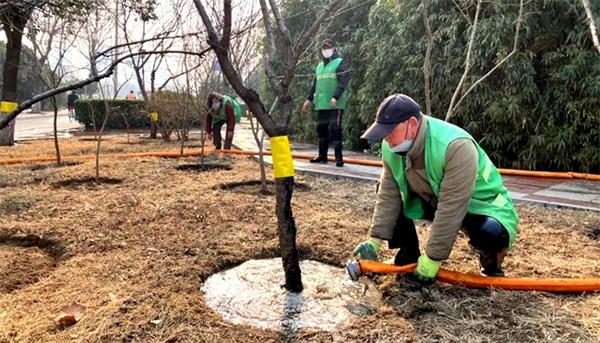 邯郸：扎实开展城市绿地浇灌工作