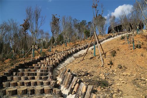 麒麟区：“春夏观花、秋冬赏叶”的寥廓公园“新绿肺”即将上线