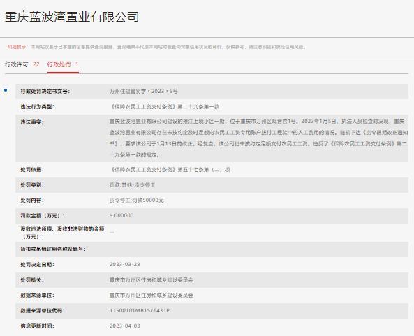 重庆蓝波湾置业有限公司未足额支付农民工工资被罚