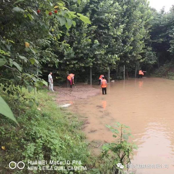 河南水建集团: 闻“汛”而动显担当 履职尽责保民生