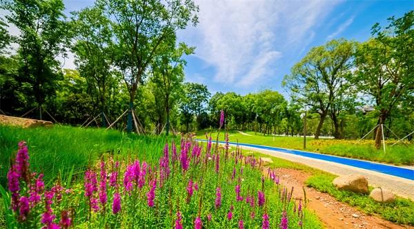 苏州高新区狮山横塘街道：焕新民生工程 描绘“幸福狮山”美丽图景