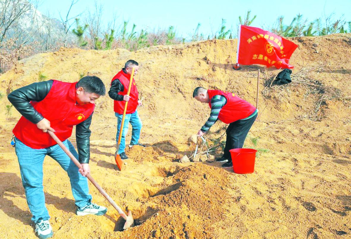 河南省散装中心 开展志愿者义务植树活动