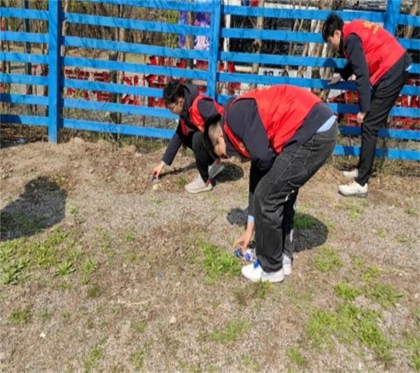 中建八局净月城中村项目青年员工开展志愿活动