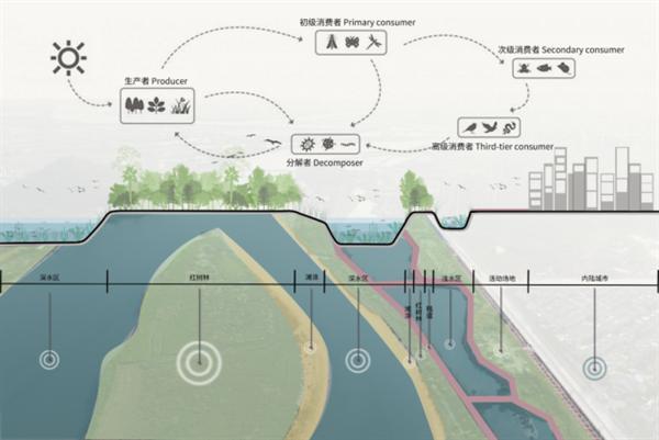 睿住天元設計｜生態煥新，筑牢灣區濱水城市韌性基底/陽江美的濕地公園