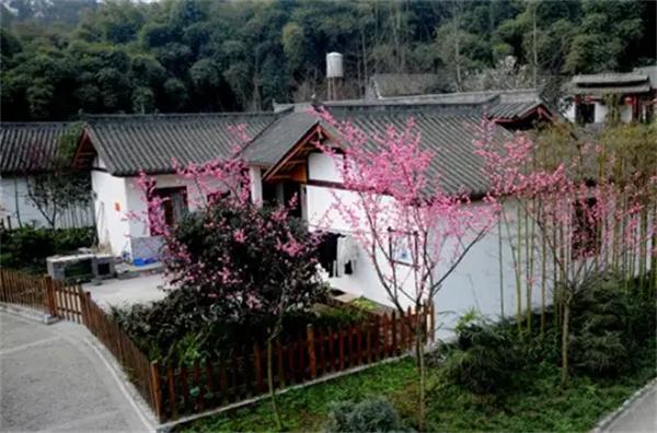 东方智慧点亮绿色未来：刘卫兵以科技之钥唤醒千年林盘密码 