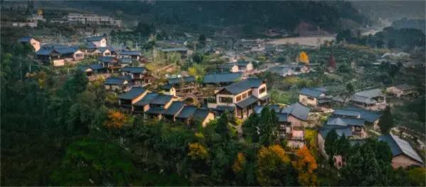 东方智慧点亮绿色未来：刘卫兵以科技之钥唤醒千年林盘密码 