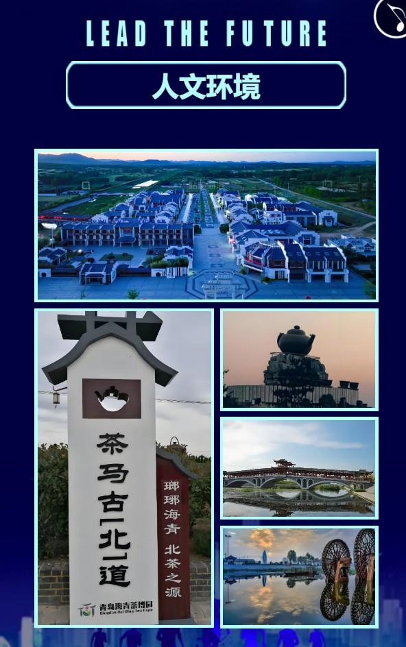 沉浸式体验非遗魅力 共绘“海青印象”新画卷