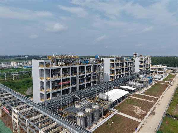 中国化学十六化建党委书记、董事长张鸿峰出席仙粼科技一体化项目一期投料开车暨二期建设开工仪式