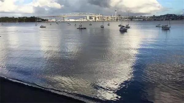 泊于林海的永恒之舟 艺术家晨晓的新西兰自然主义建筑宣言