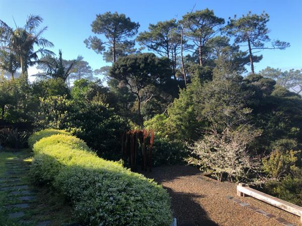 泊于林海的永恒之舟 艺术家晨晓的新西兰自然主义建筑宣言