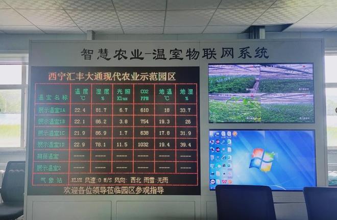大通縣：高原冷涼蔬菜鋪就富民增收路