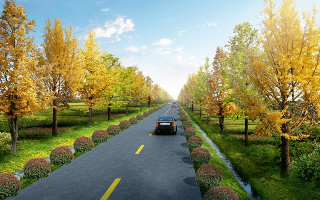实施新一轮农村公路提升行动 “四好农村路”建设走深走实