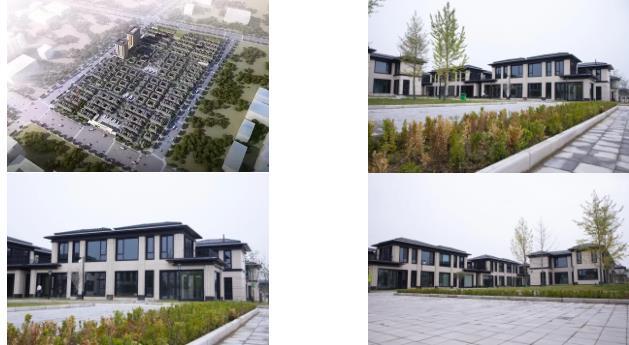 为现代农业创新发展赋能,西安现代农业物流园外墙选卓宝