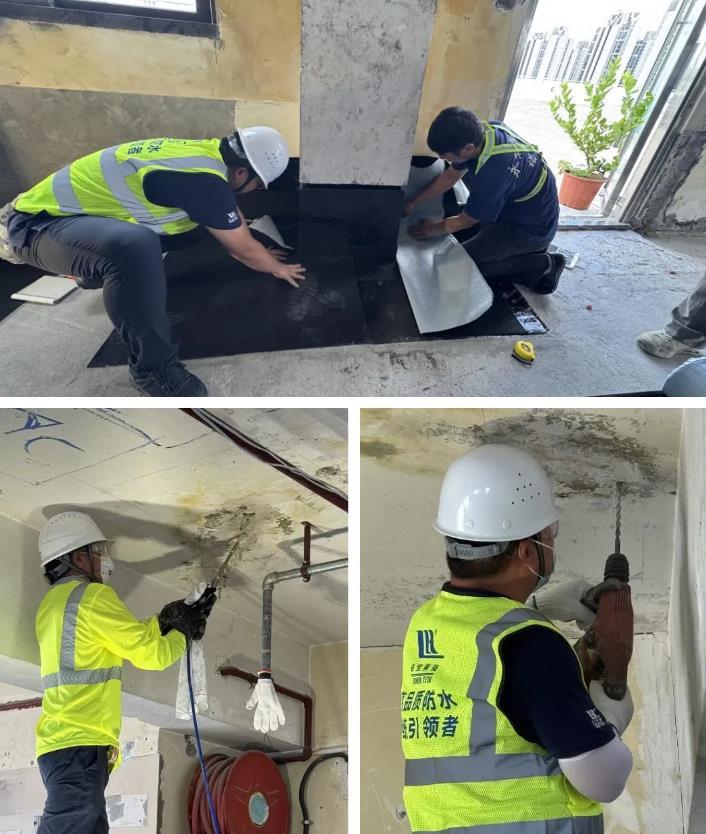 2025绿建论坛全球行第15站|直击香港既有建筑修缮经验交流会,卓宝科技修缮一体化解决方案获赞!