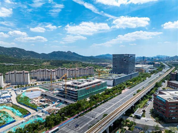 青岛市住建系统2025年“质量月”精品工程现场观摩活动走进中建八局一公司项目