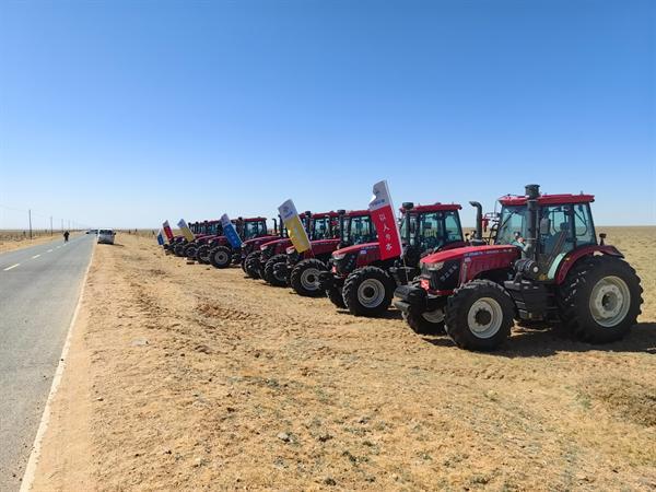 风沙线上筑绿人