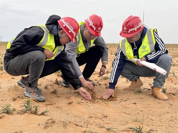 风沙线上筑绿人