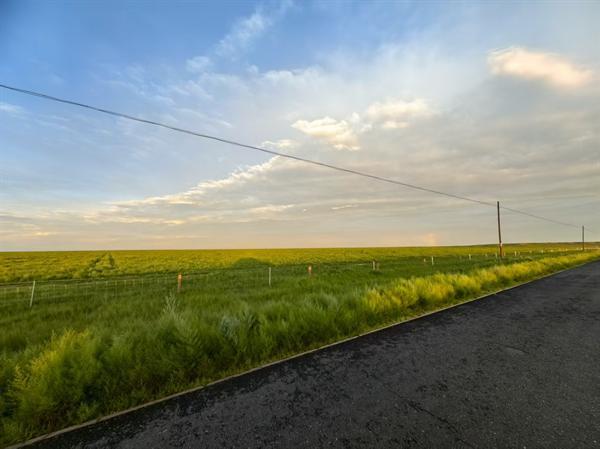 风沙线上筑绿人