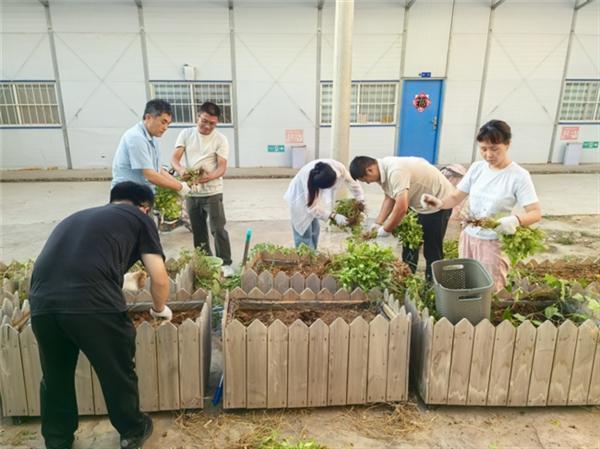 中交路建山东济微高速项目职工菜园喜获收获