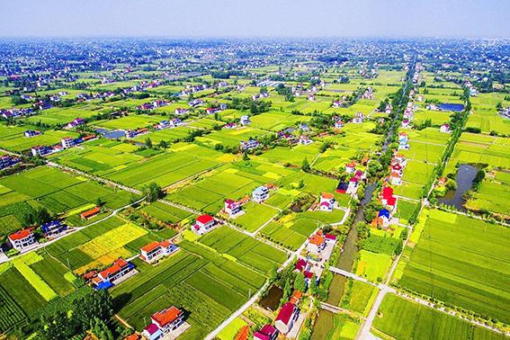 聚焦宜居乡村 着眼零碳未来——绿色中国2025银川对话会举行