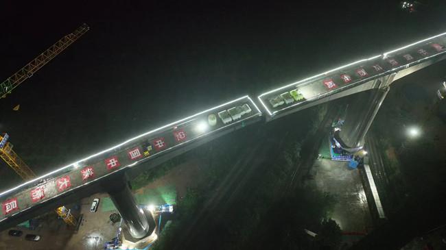 雨夜转体 ——西十高铁西南联络线跨陇海铁路双桥高空同转场记