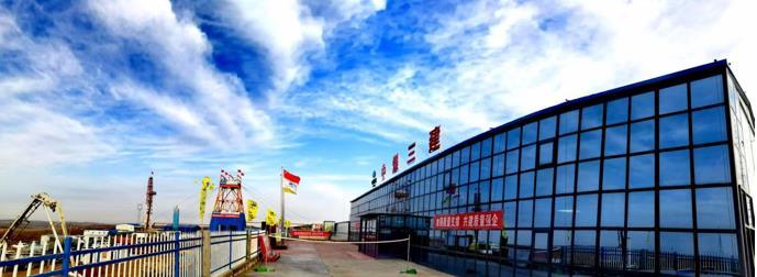 虎啸煤海五十载 山河万里筑丰碑 ——写在中煤矿建集团三十工程处“猛虎掘进队”授旗五十周年之际