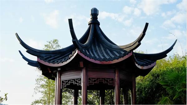 “我和太湖的故事”征文 | 在太湖畔触摸新质生产力 