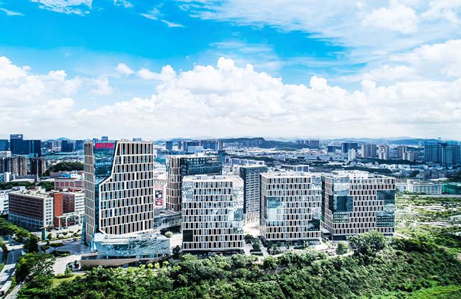 与一个时代的同频共振 ——康利集团董事长王翠霞的创业史诗