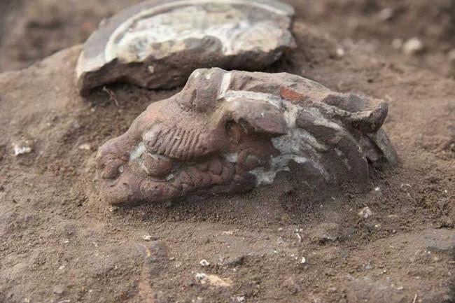 世界文化遗产元上都遗址重启考古发掘取得重要收获