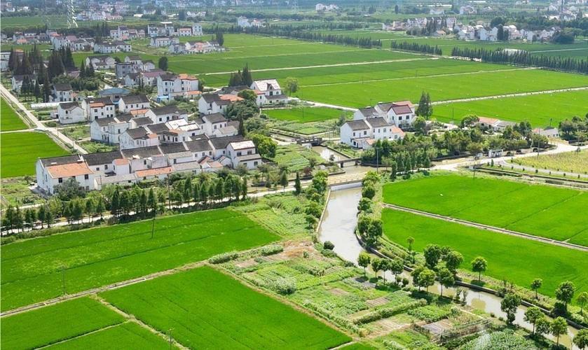 因地制宜推进乡村建设 从中央农村工作会议看2026年“三农”工作战略部署