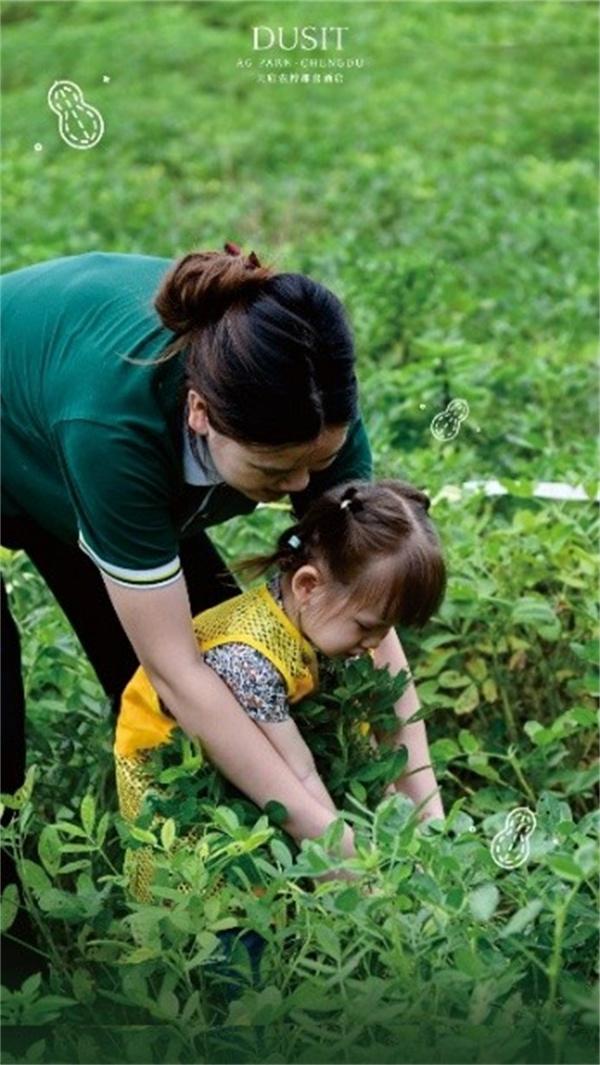 暹罗雅礼邂逅本土韵味，都喜集团打造微度假新标杆