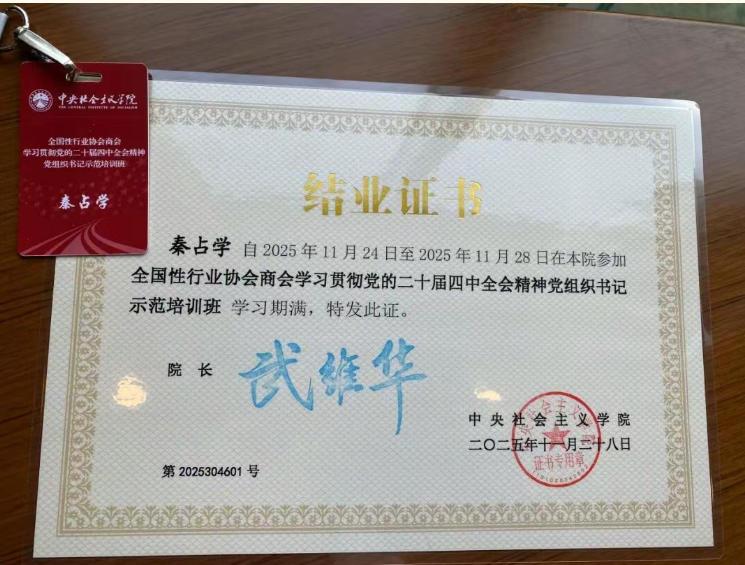 荣光绽放,载誉前行!中国建筑材料流通协会荣获“全国先进社会组织”等多项里程碑式荣誉