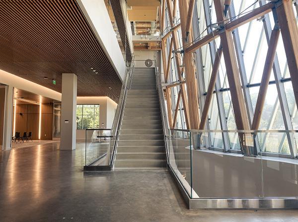 唐定东：在精密与混沌之间建立秩序