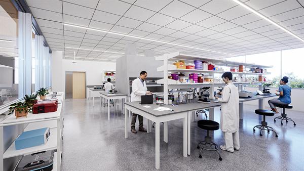 唐定东：在精密与混沌之间建立秩序