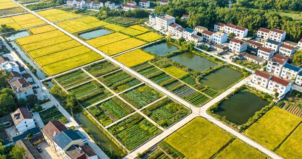 农村基建提档升级 道路与数字基建成建筑行业新蓝海