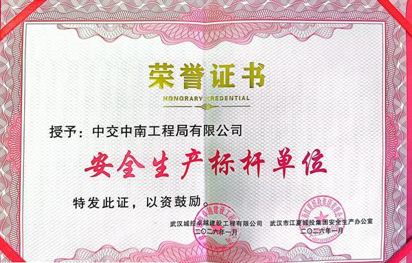 天子山大桥项目获评“安全生产标杆单位”及多项荣誉