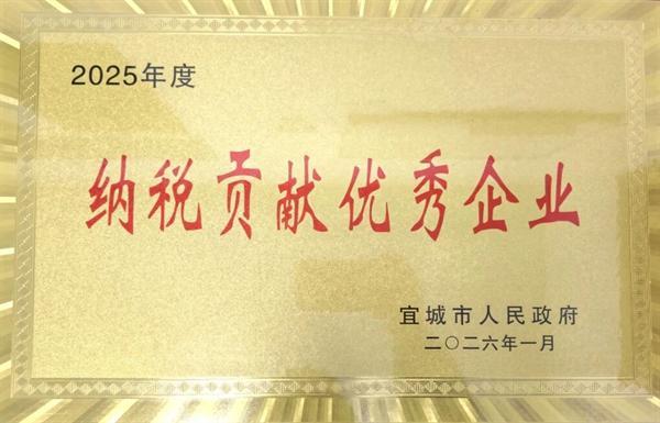 宜城项目获“2025年度纳税贡献优秀企业”荣誉称号