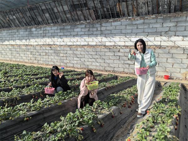 中交一公局集团有限公司乌海项目开展庆“三八”主题系列活动