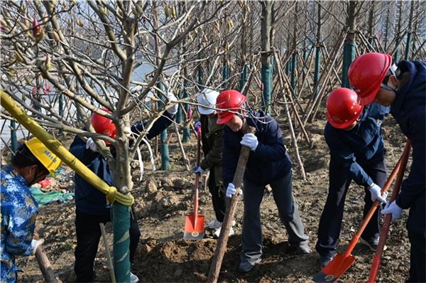 党建引领添新绿，生态护航践初心
